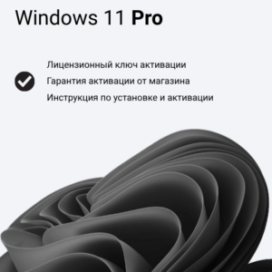 Windows 11 Pro