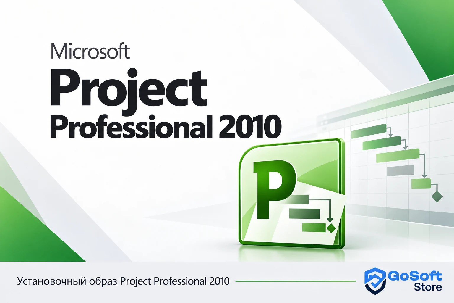 Project Professional 2010 — обложка карточки скачивания GoSoft Store