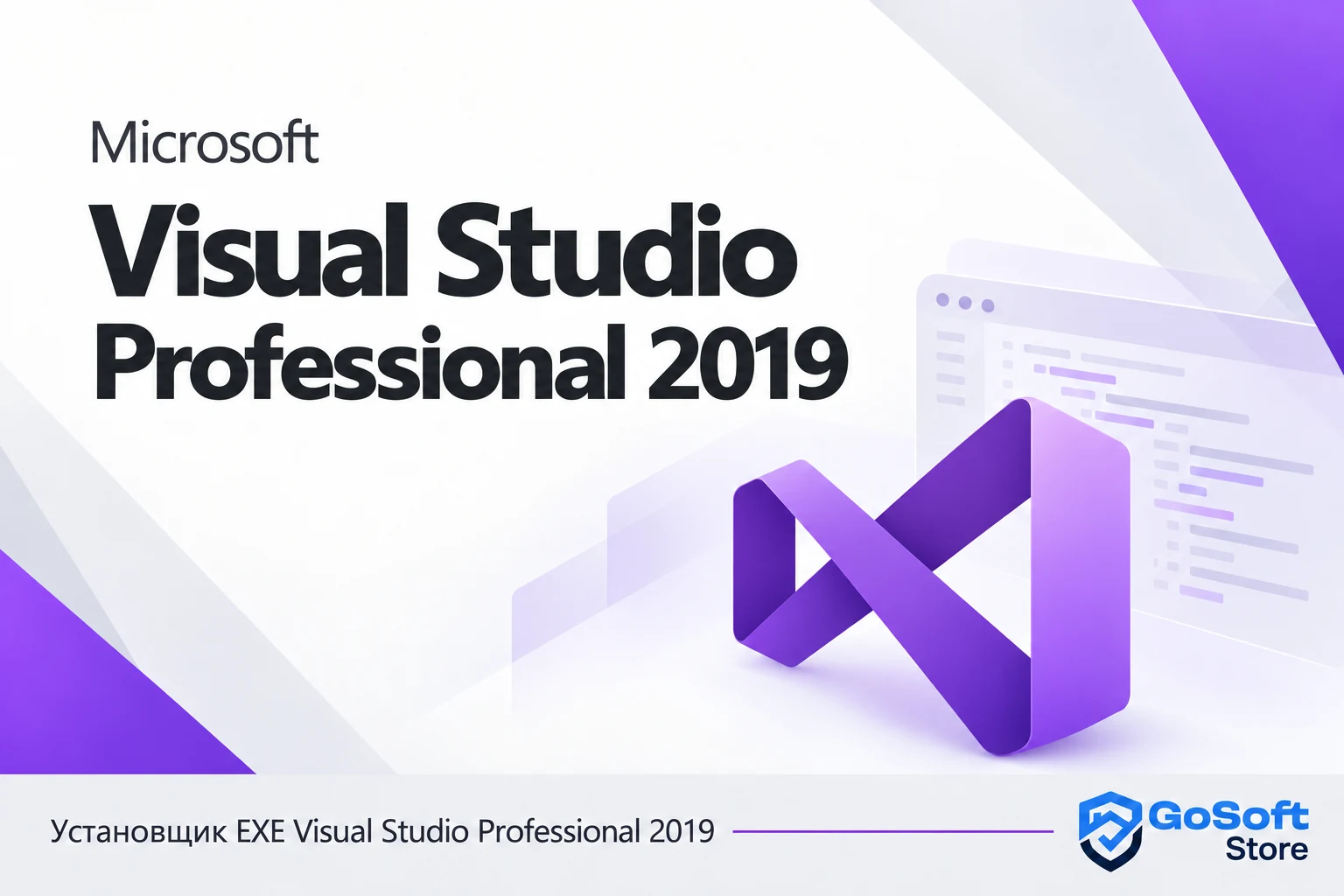 Visual Studio Professional 2019 — обложка с логотипом GoSoft Store