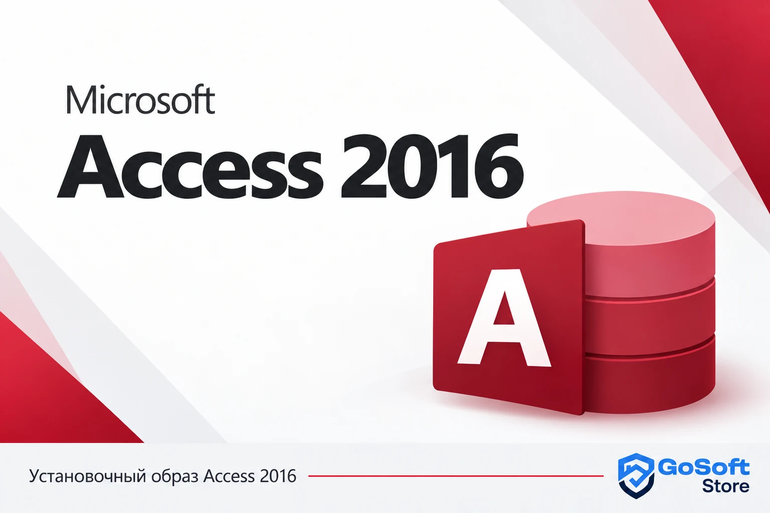 Access 2016 — обложка с логотипом GoSoft Store