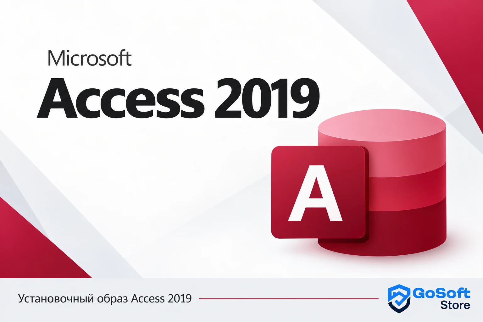 Access 2019 — обложка с логотипом GoSoft Store
