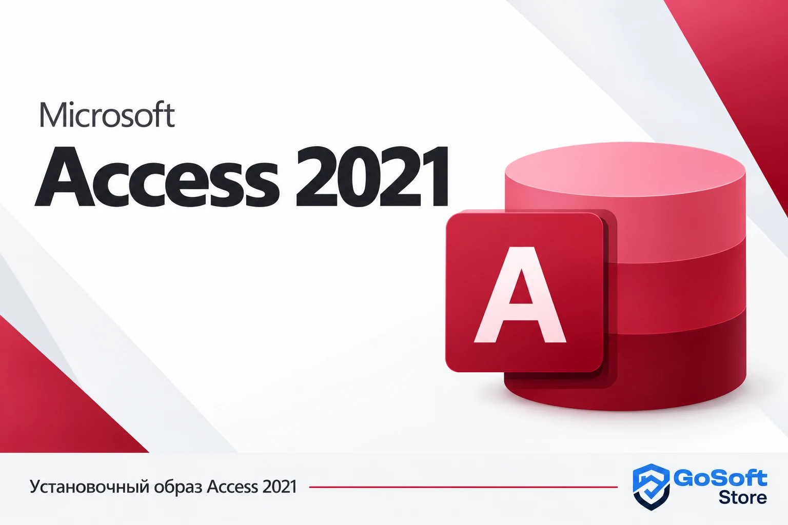 Access 2021 — обложка с логотипом GoSoft Store