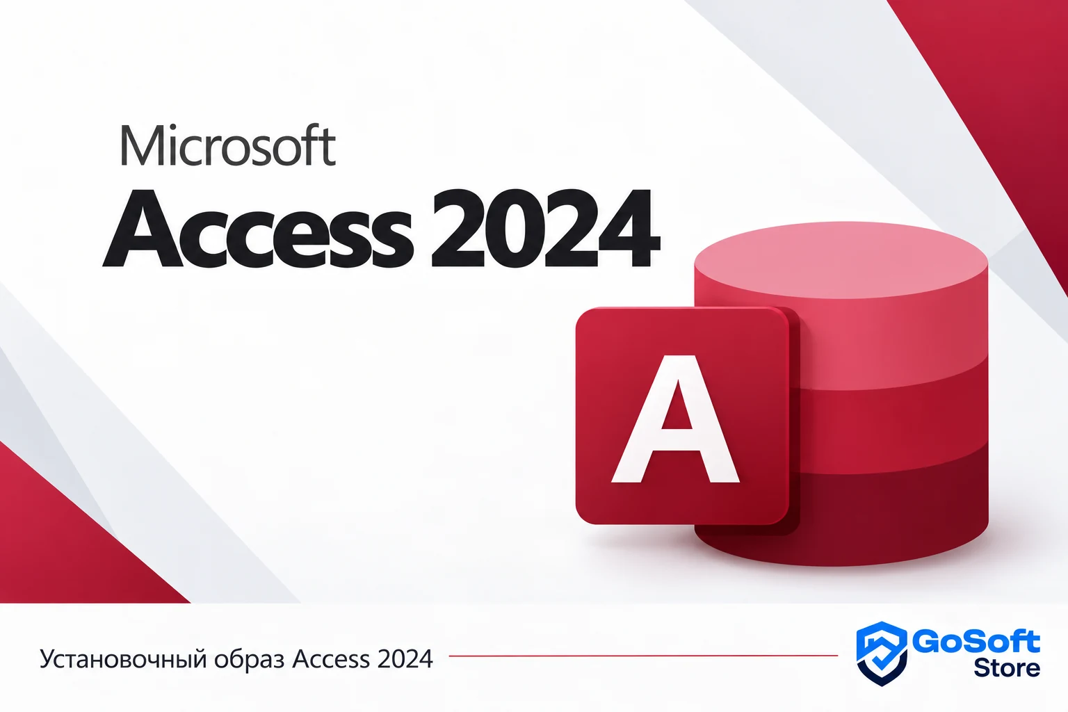 Access 2024 — обложка с логотипом GoSoft Store