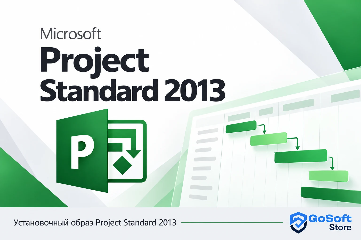 Project Standard 2013 — обложка карточки скачивания GoSoft Store