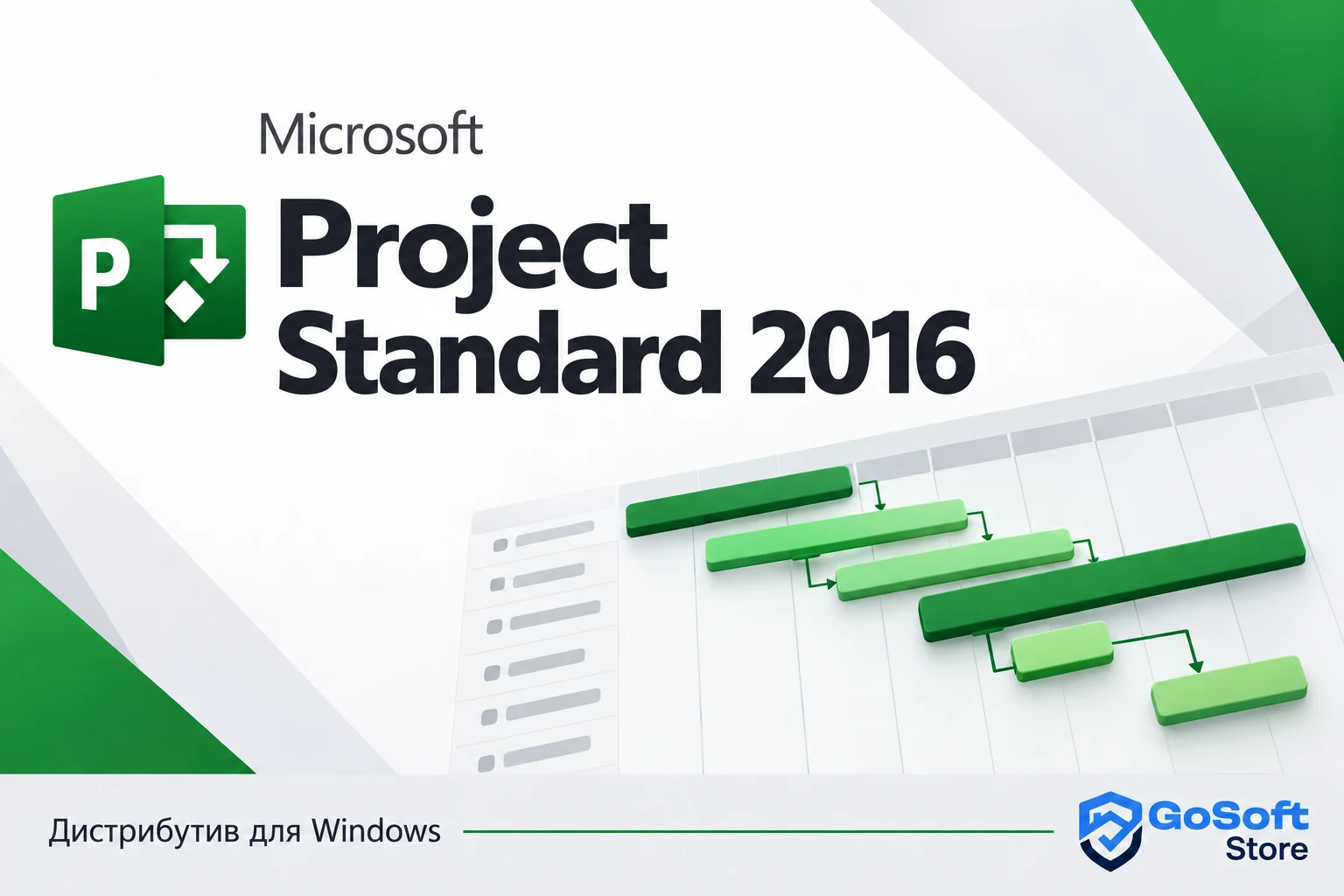Project Standard 2016 — обложка с логотипом GoSoft Store
