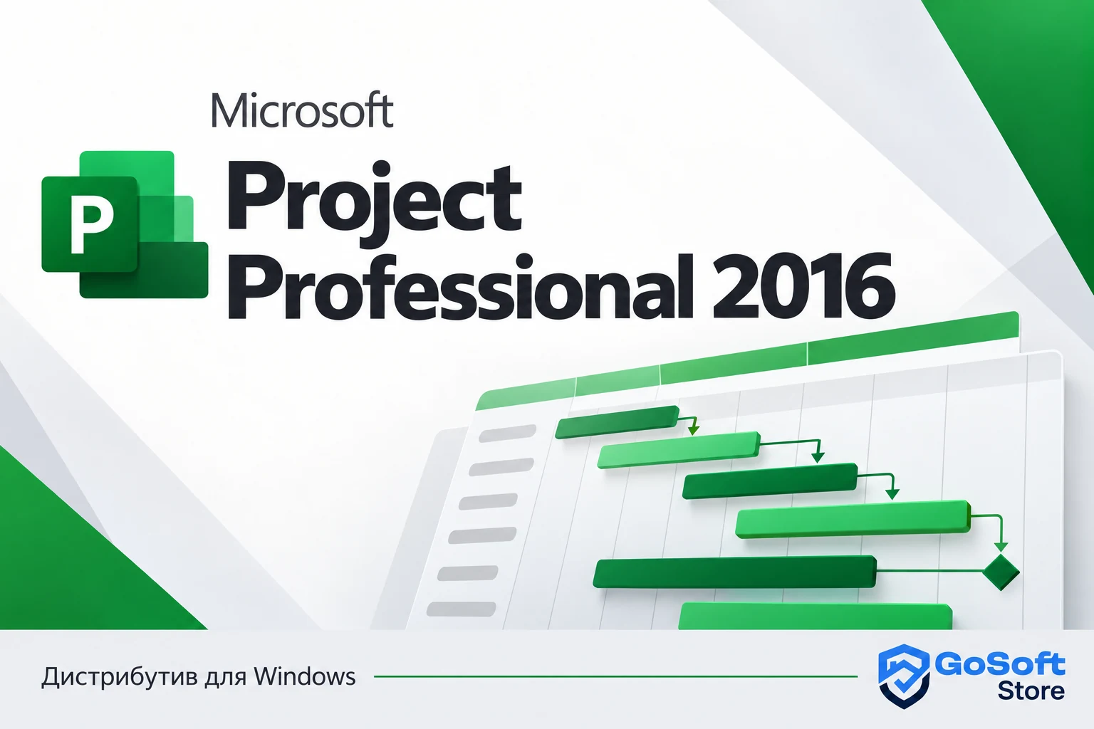 Project Professional 2016 — обложка с логотипом GoSoft Store