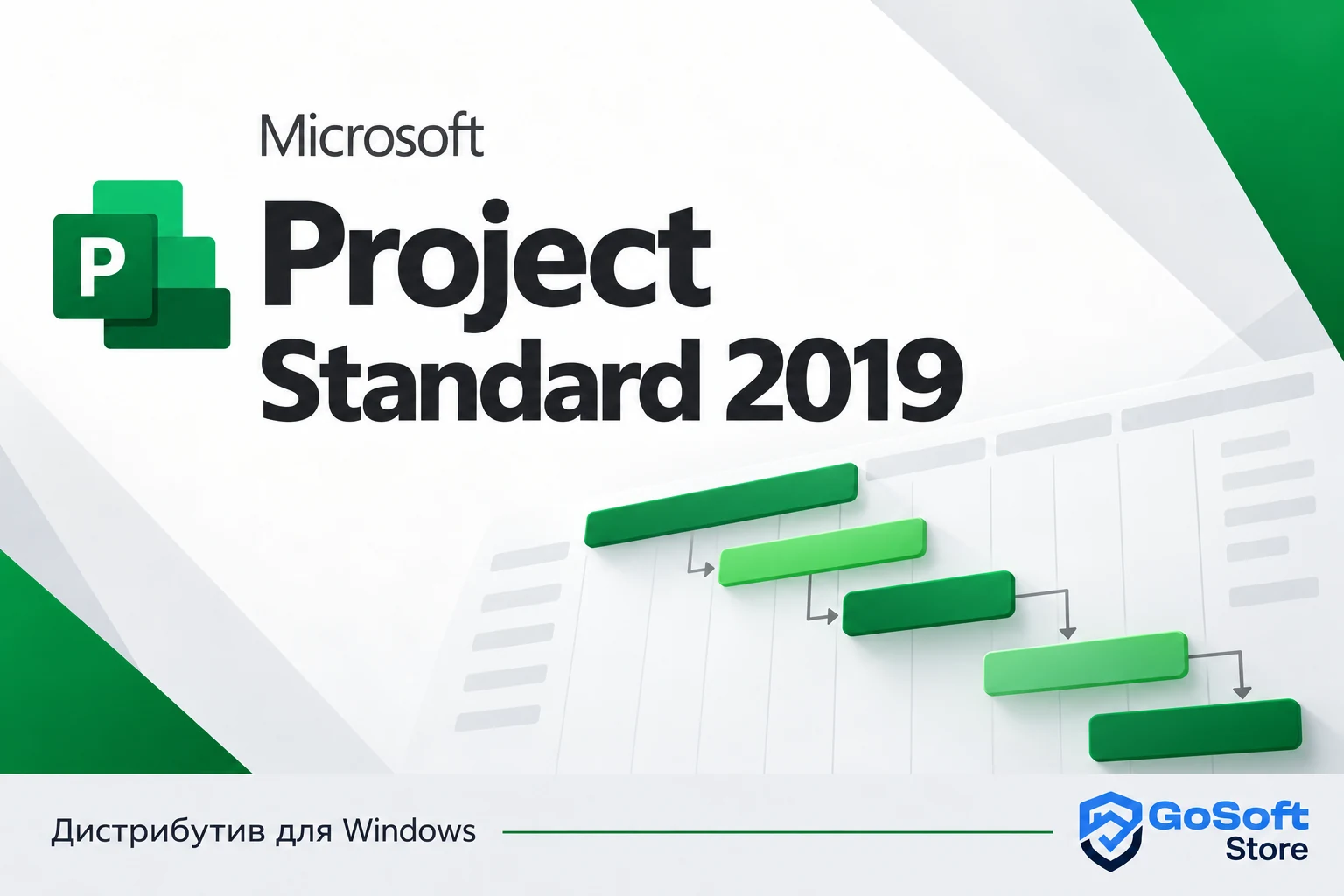 Project Standard 2019 — обложка с логотипом GoSoft Store