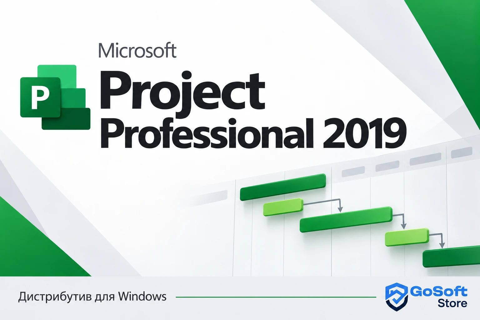 Project Professional 2019 — обложка с логотипом GoSoft Store
