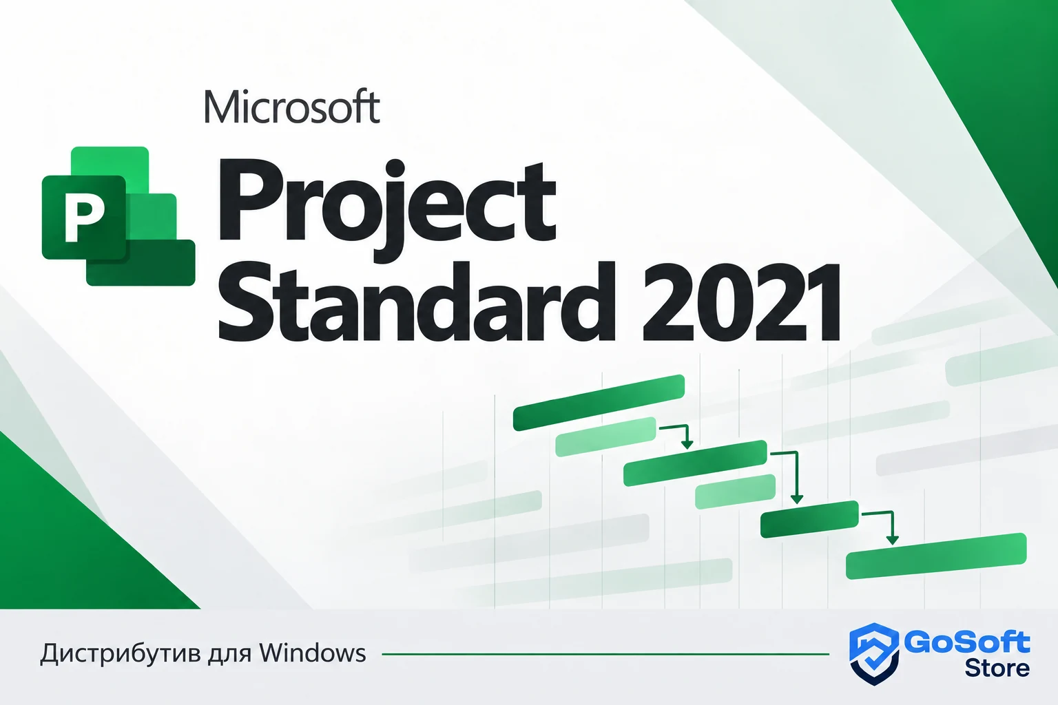 Project Standard 2021 — обложка с логотипом GoSoft Store