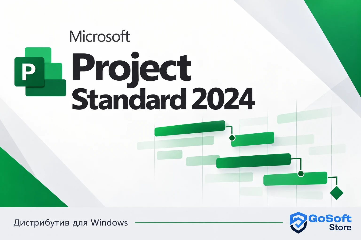 Project Standard 2024 — обложка с логотипом GoSoft Store