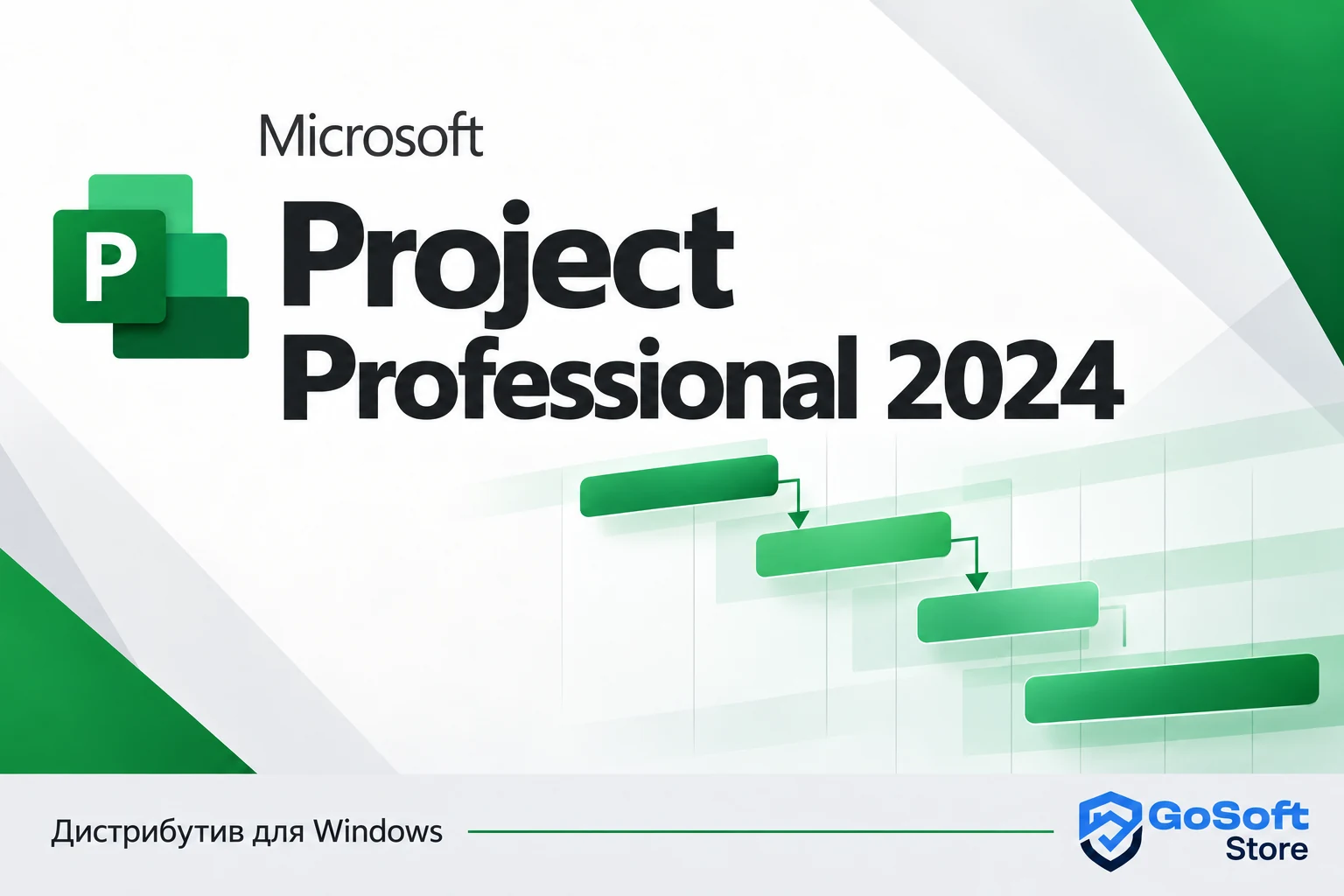 Project Professional 2024 — обложка с логотипом GoSoft Store