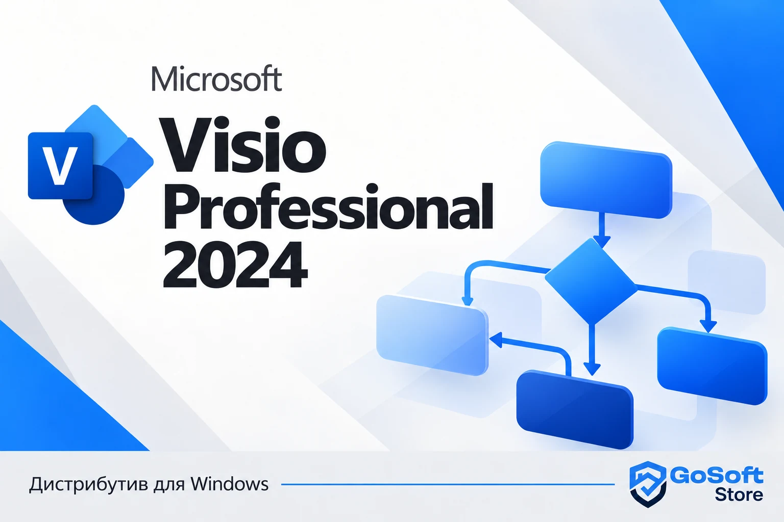 Visio Professional 2024 — обложка с логотипом GoSoft Store
